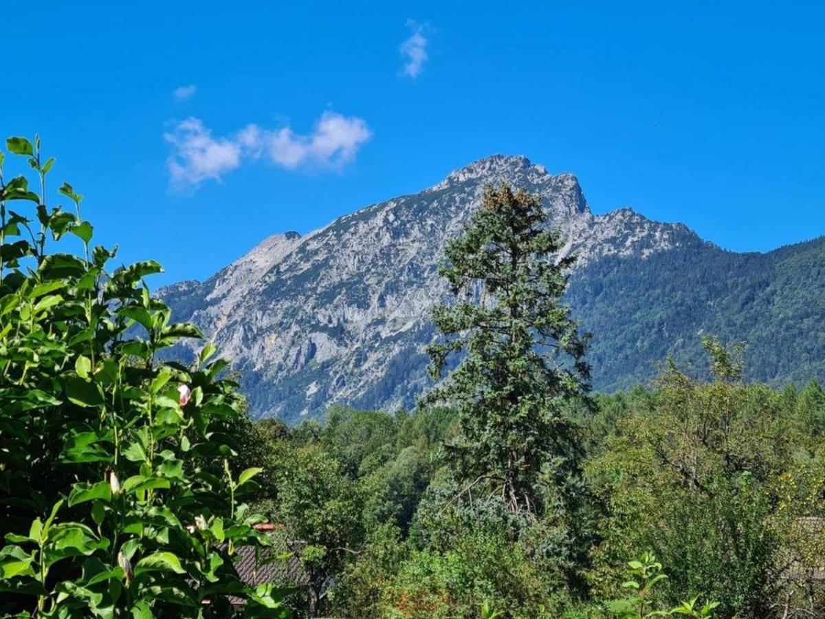 Ferienwohnungen Sommer Bayerisch Gmain Kültér fotó